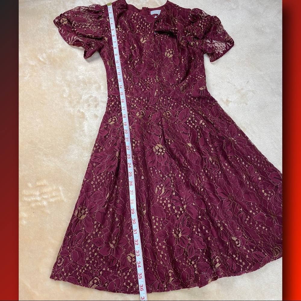 Chelsea28 Red Velvet/Burgundy Metallic Floral Lace Fit & Flare Dress
Size XXS - Picture 11 of 14
